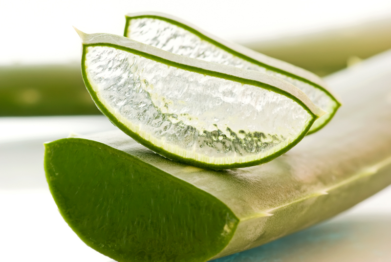 Aloe Vera and Beauty Fixes!  Private Space for Women