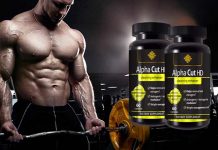 Alpha Fuel HD : Muscular Body, Stronger Energy