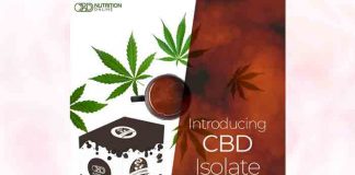 CBD Nutrition Coffee: How Safe & Effective Is This Product?