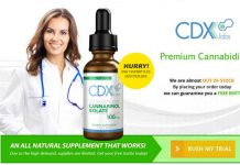 CDX Labs : Benefits and Usage of This CBD Oil