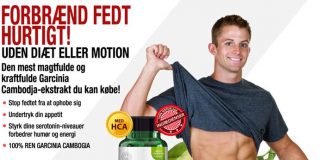 Healthy Life Garcinia Cambogia : How Safe & Effective Is This Product?