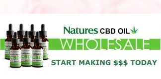 Nature’s Authentic CBD Hemp Oil : Is It Safe & Effective?