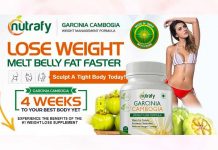 Rapidly Totally Garcinia : Melts Extra Fatty Slabs From The Body!