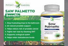 Saw palmetto