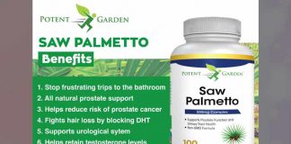 Saw palmetto