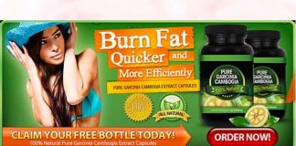 Supreme Garcinia Cambogia Canada : Rapid Weight Loss
