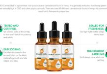 Orange Grove CBD Oil : Is it Safe & Effective For Overall Health?
