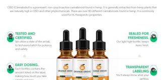 Orange Grove CBD Oil : Is it Safe & Effective For Overall Health?