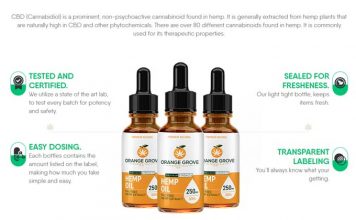 Orange Grove CBD Oil : Is it Safe & Effective For Overall Health?