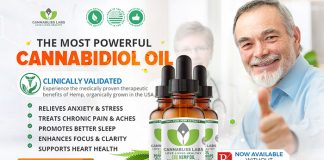 CannaBliss CBD Oil : Aids Neurological And General Health