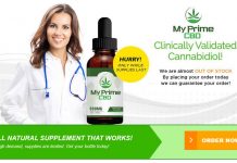 My Prime CBD Oil : A Potent Formula To Treat Pains & Stress